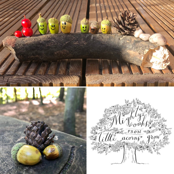From Little Acorns.....
