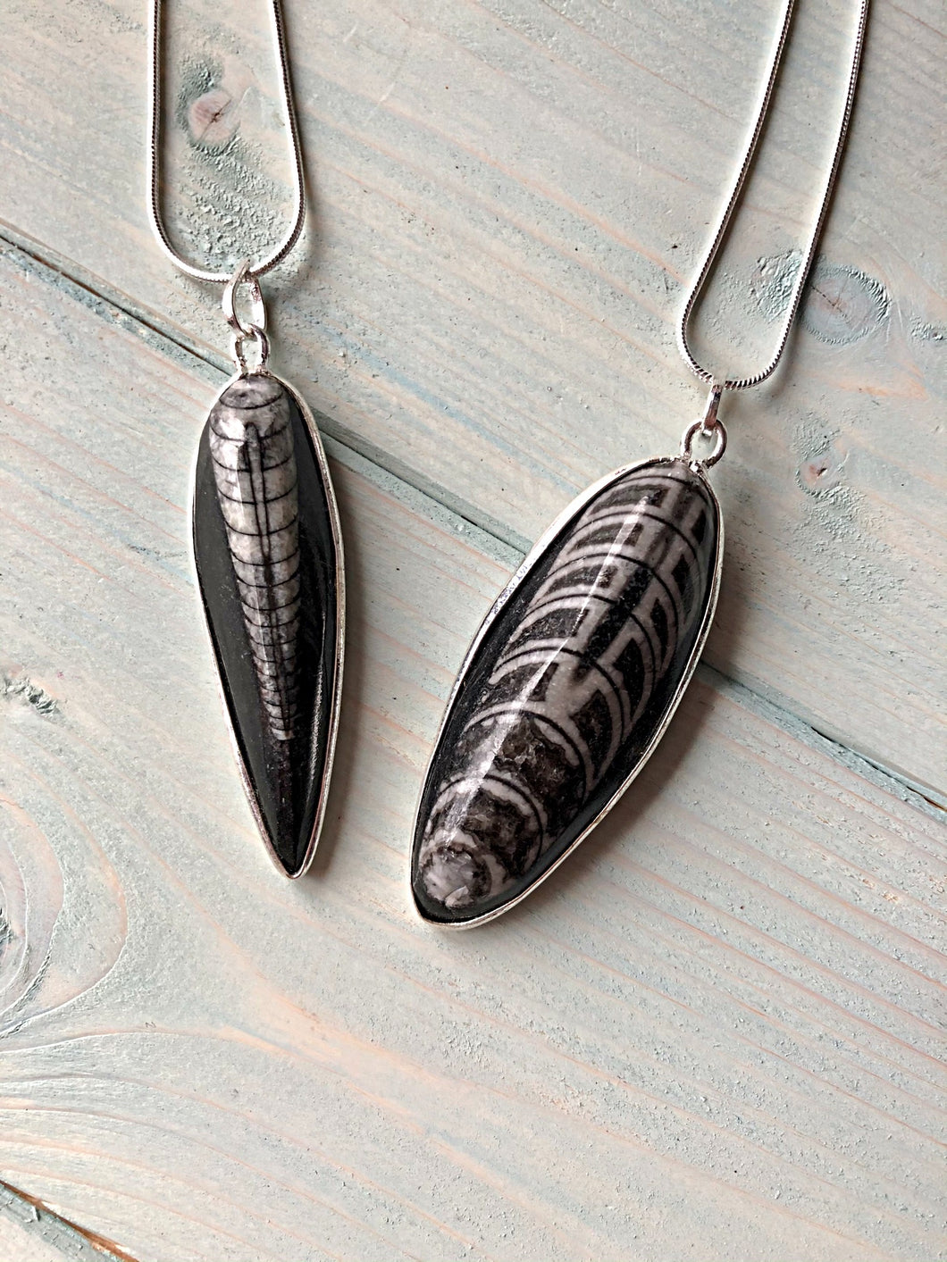 Orthoceras Fossil Pendant