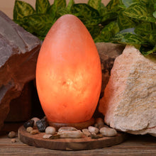 Load image into Gallery viewer, Carved Egg Shaped Himalayan Salt Lamp
