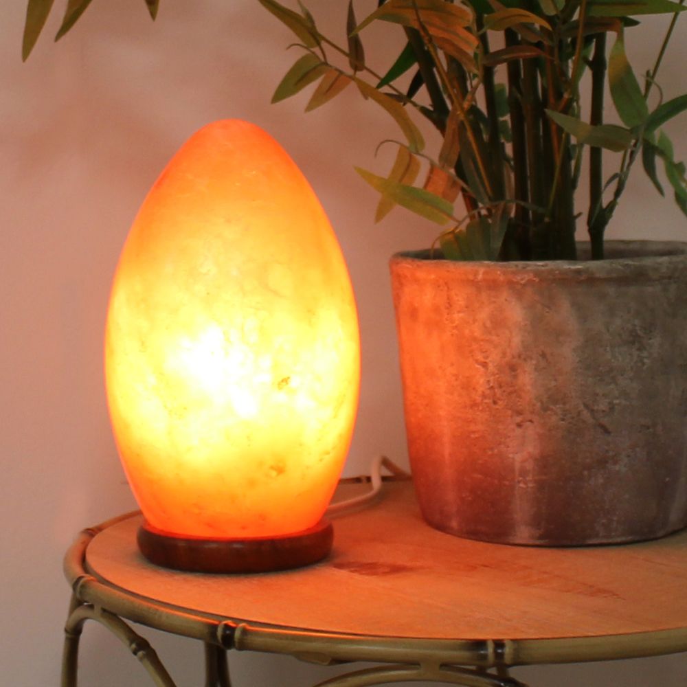 Carved Egg Shaped Himalayan Salt Lamp